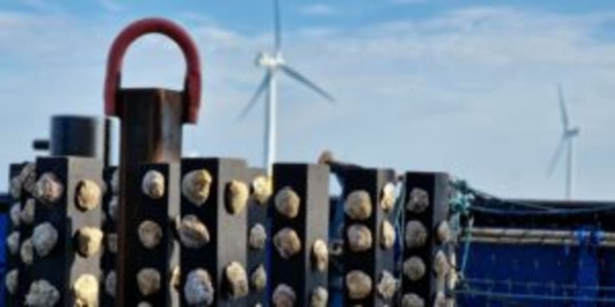 Canada's Indigenous Communities Lead 2 GW Wind Farm Plan - Image 5