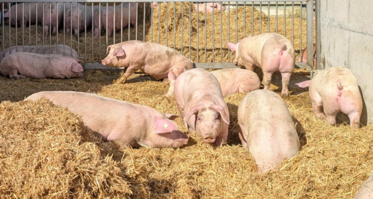 College students studying agriculture and farming in classroom setting with textbooks