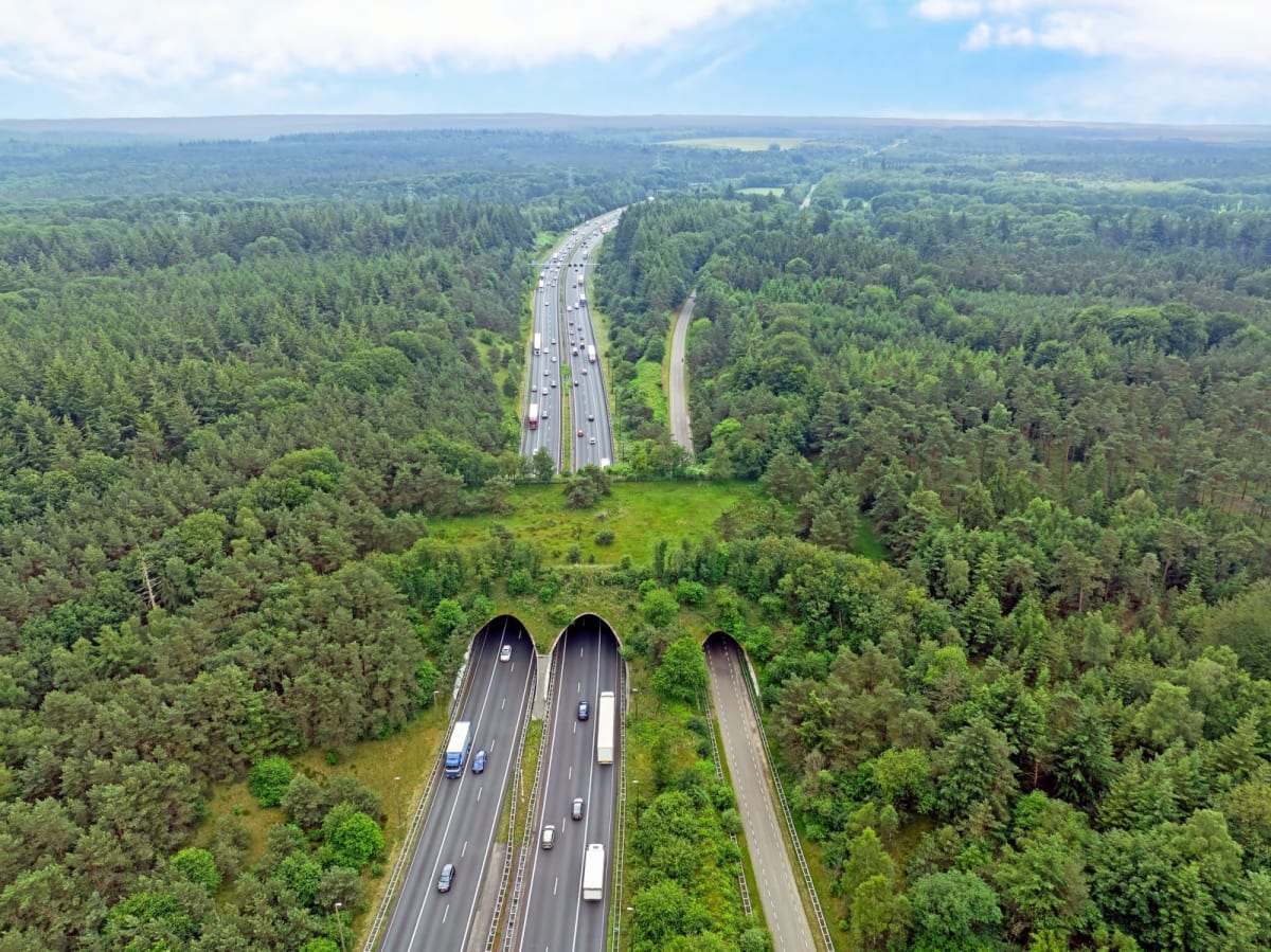 UK's New Wildlife Bridge Reconnects Fragmented Habitats - Image 2
