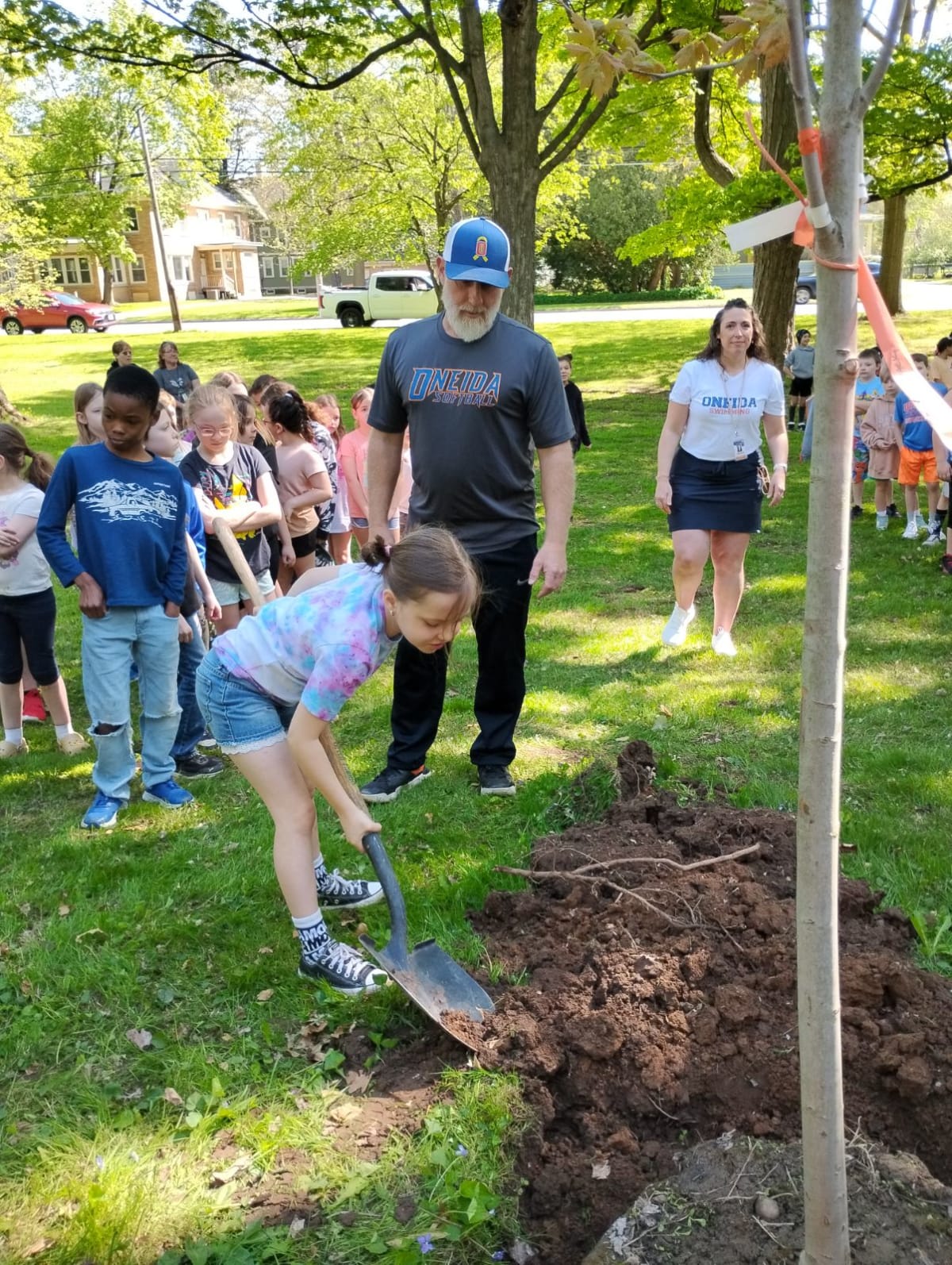 New York Offers $20M for Urban Tree Planting Projects