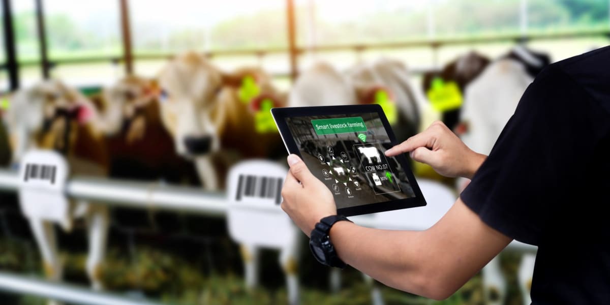 UK Invests £50M in Smart Farming Technology