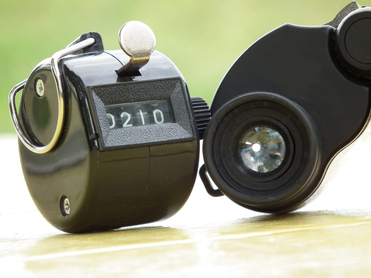 Colorful tropical bird perched on branch in dense forest canopy, representing rediscovered species