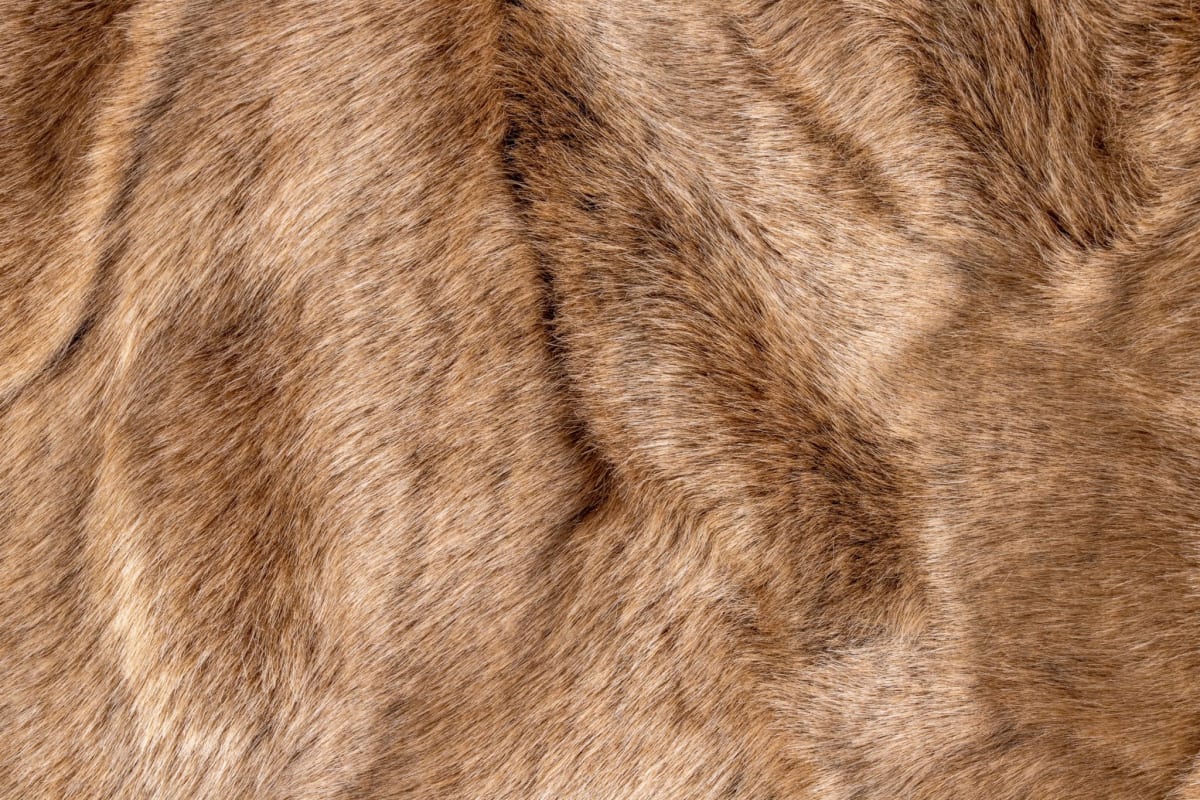 Protesters holding signs outside Etsy office building calling for fur ban policy