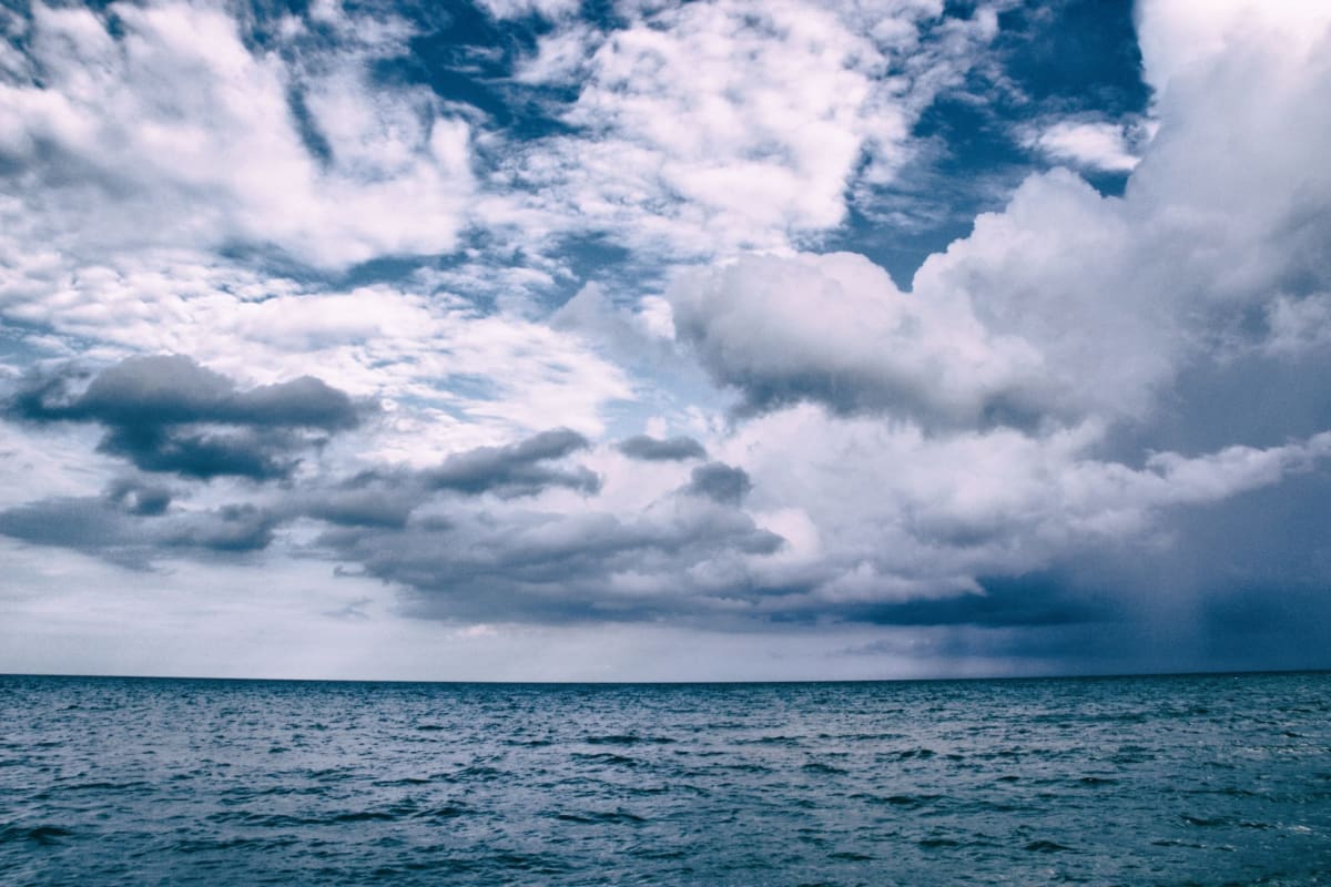 Tiny African Island Pays Locals to Protect Rainforest - Image 5