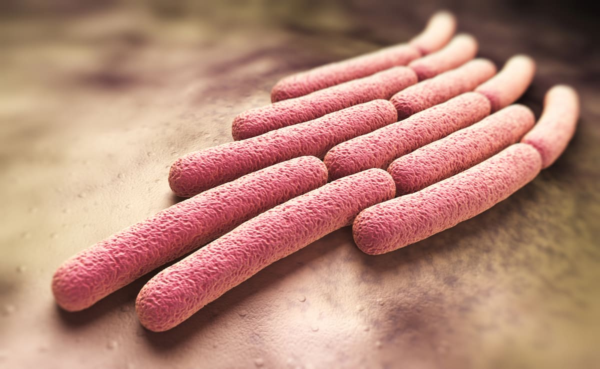 New Vaccine Shows 89% Success Against Deadly Child Disease