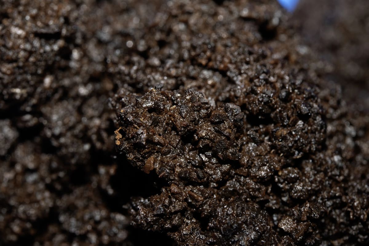 Coffee Waste Becomes Clean Fuel in 90 Seconds