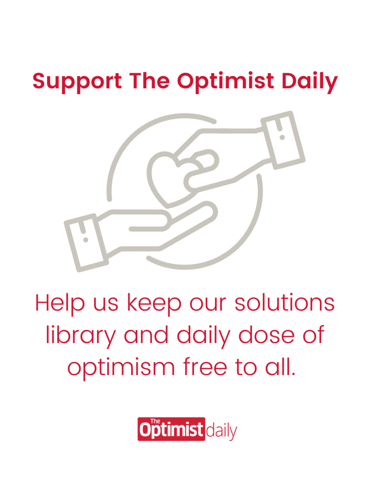 Panama's Golden Frogs Return After 17-Year Extinction - Image 3