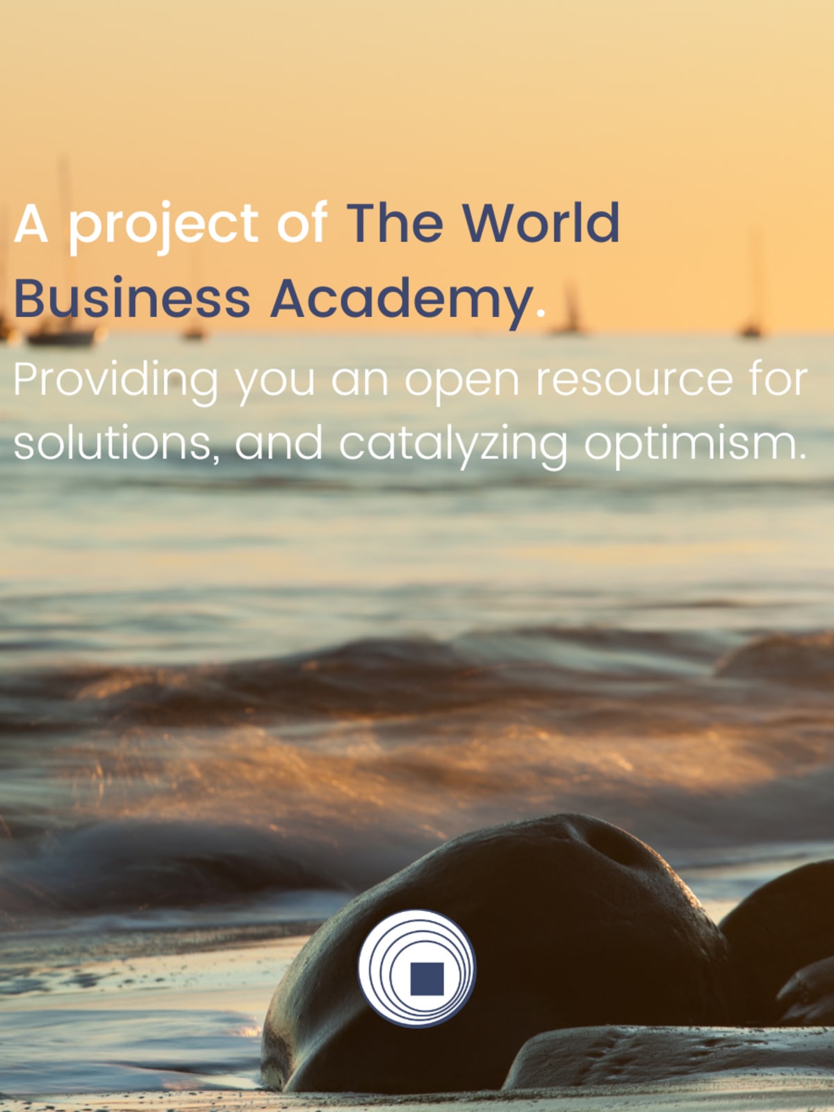 Panama's Golden Frogs Return After 17-Year Extinction - Image 2