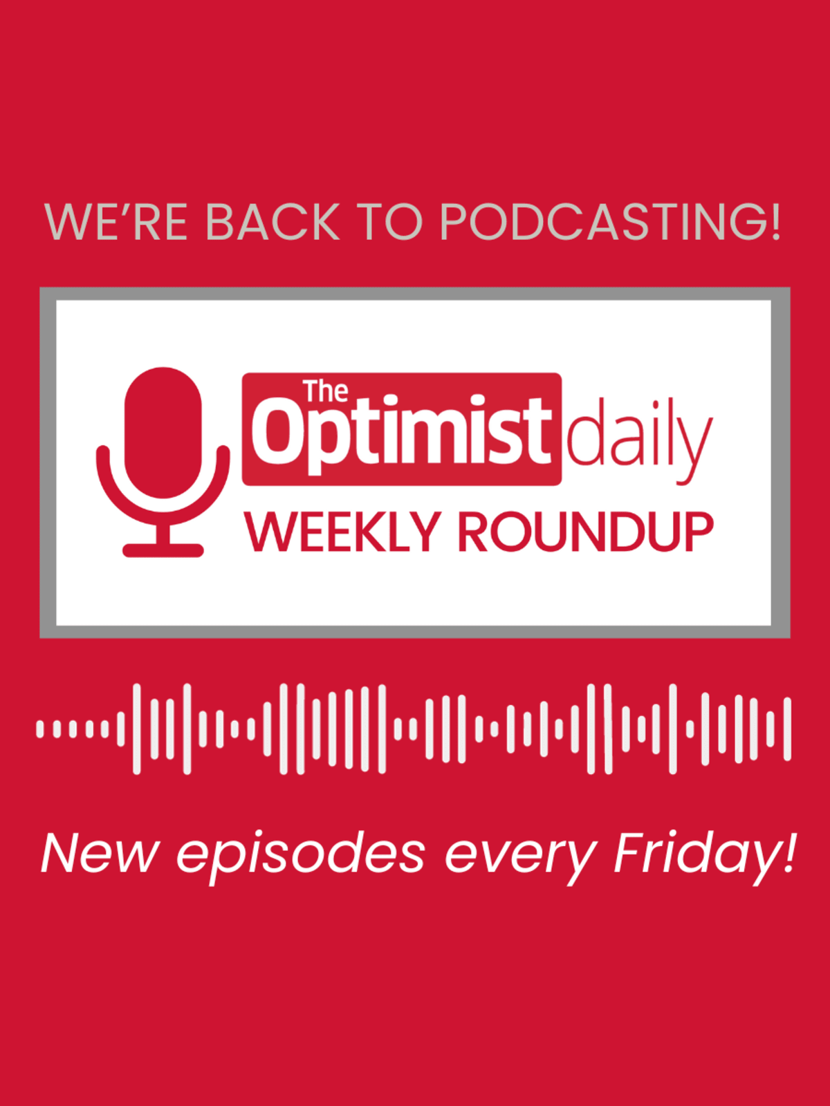 Panama's Golden Frogs Return After 17-Year Extinction - Image 4