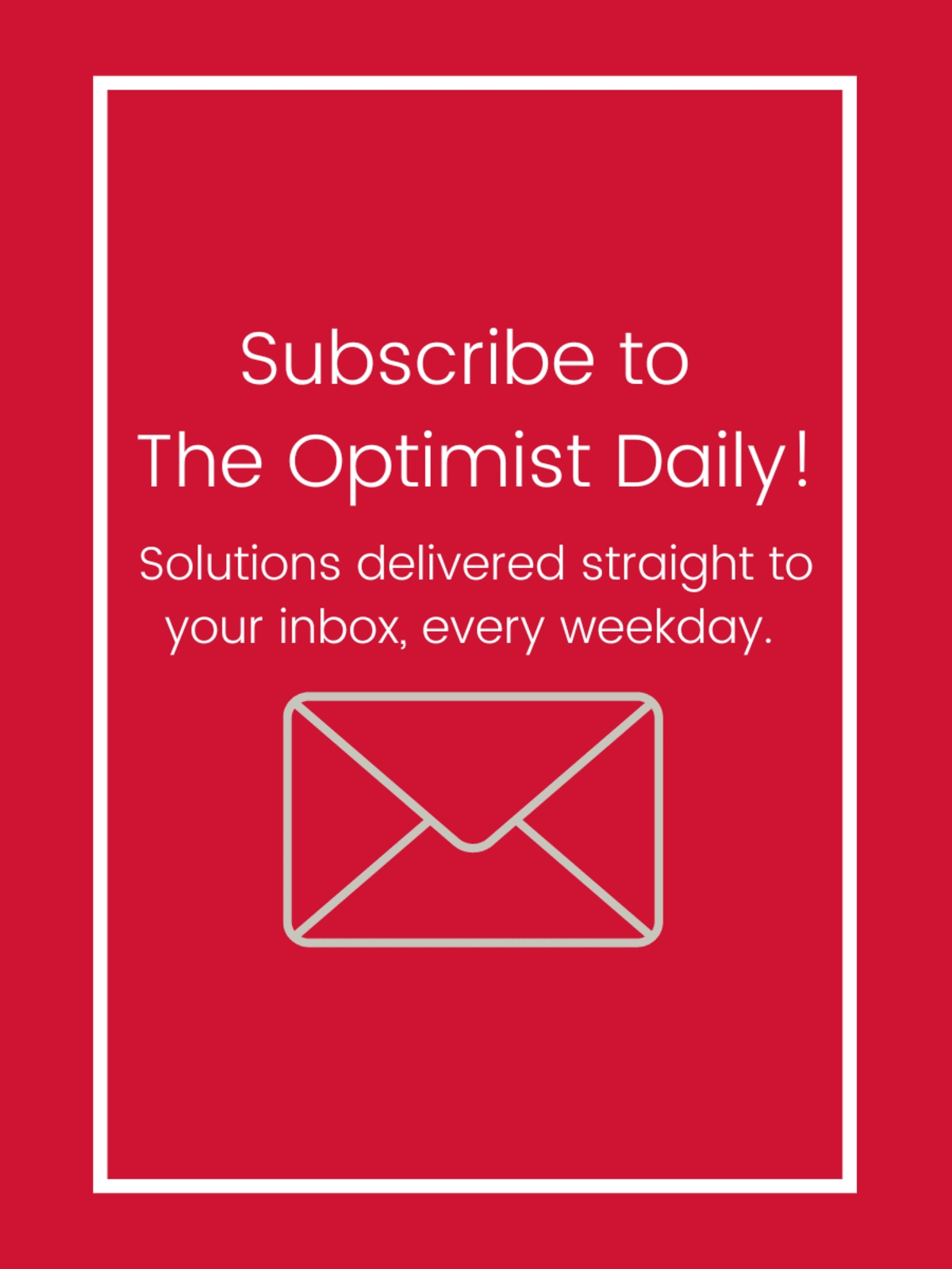 Panama's Golden Frogs Return After 17-Year Extinction