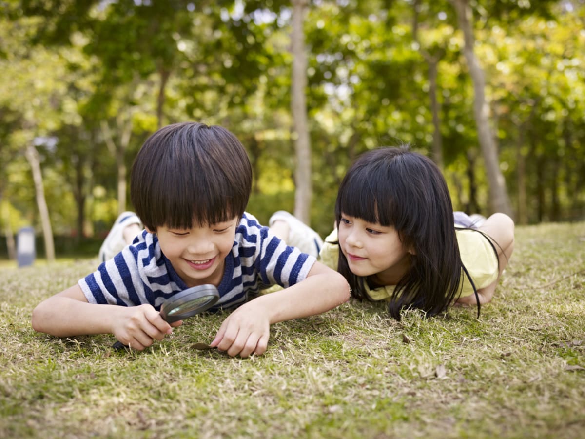 Happy children exploring outdoors, playing in nature, discovering plants and wildlife together