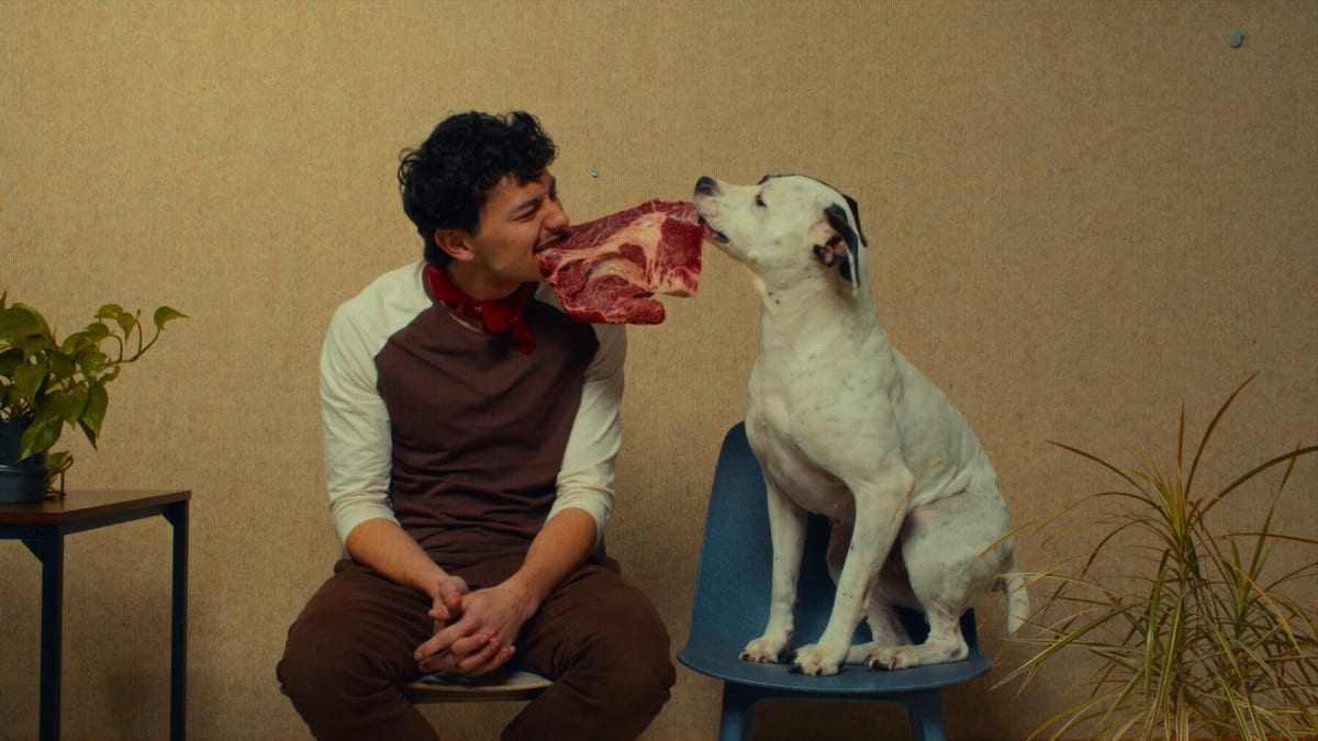 Rescue Dog Musical Raises Funds for Oregon Humane Society