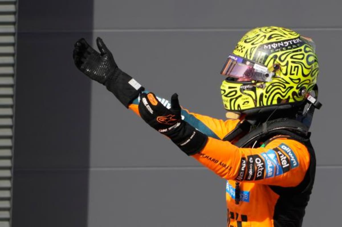 Lando Norris Wins Hungarian GP After 8-Month Victory Drought - Image 3