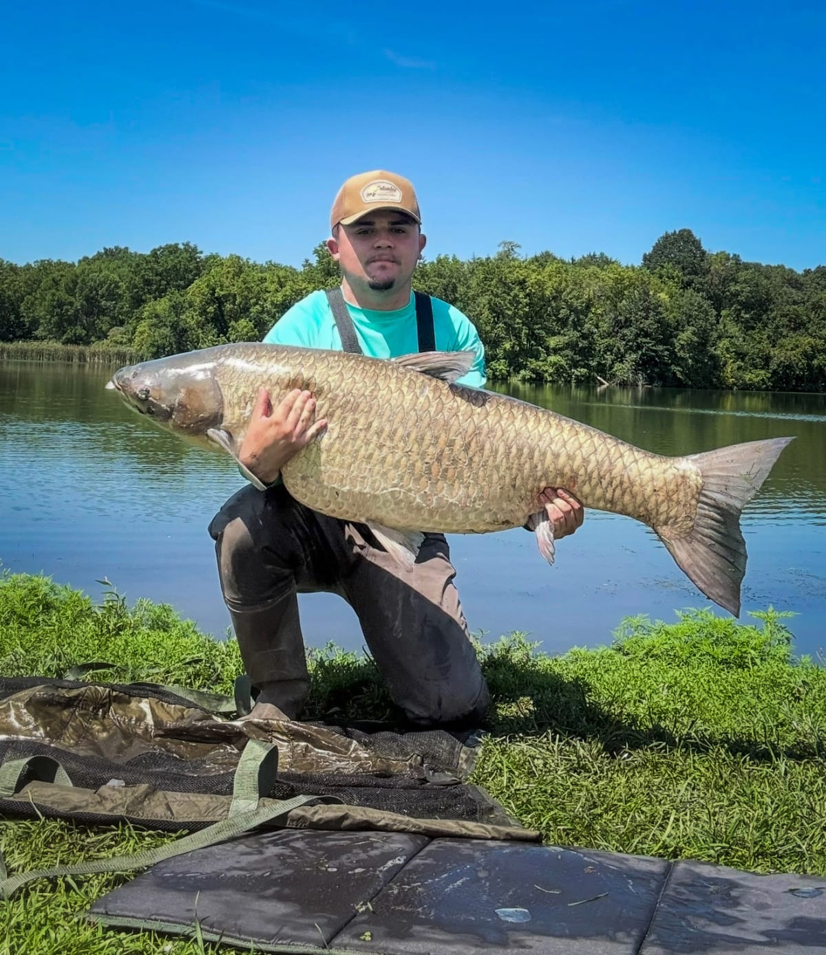 Iowa Angler Catches 71-Pound World Record Carp in City Pond - Image 2