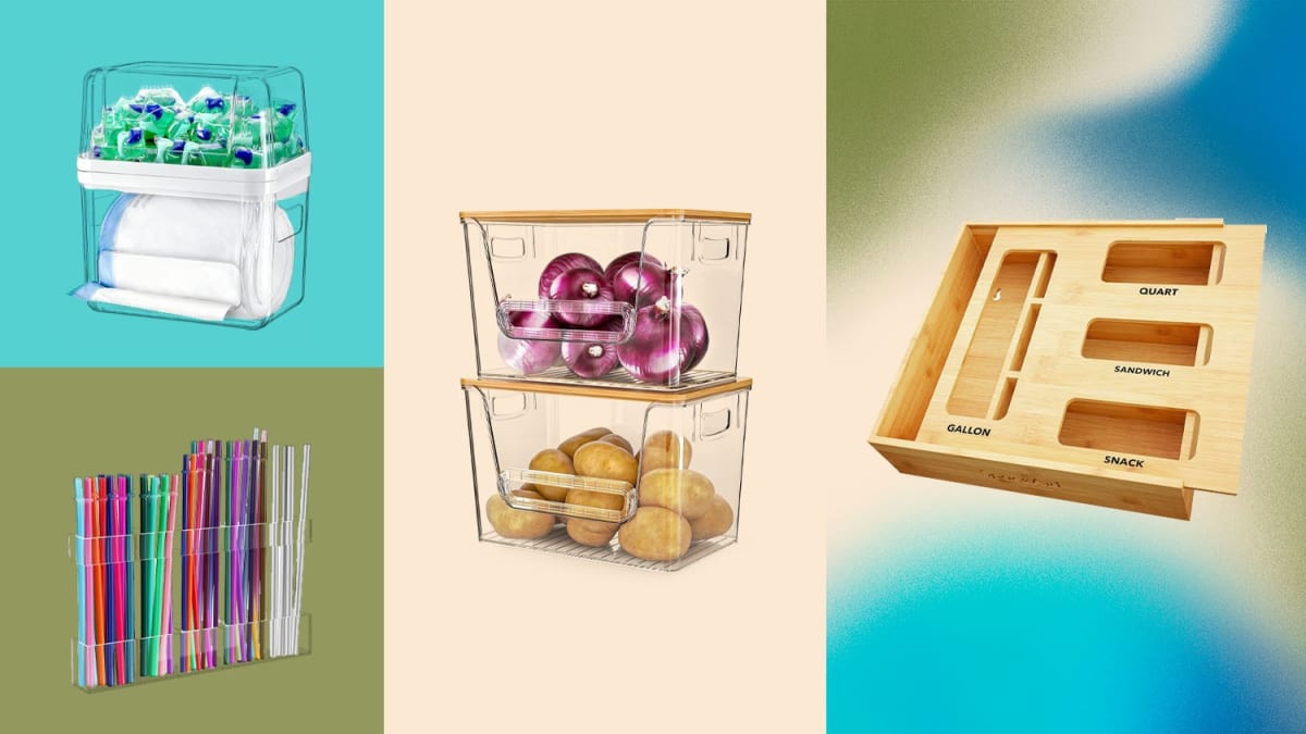 Springfield's Earth Day Festival Raises Funds for Homeless - Image 5