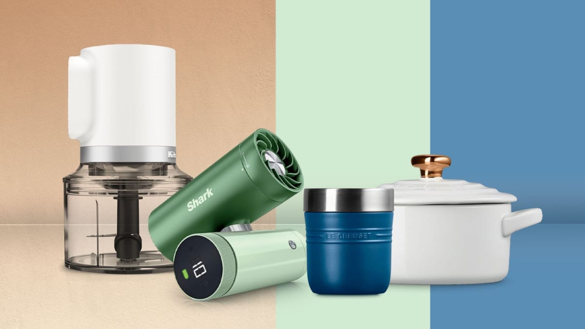 Springfield's Earth Day Festival Raises Funds for Homeless - Image 3