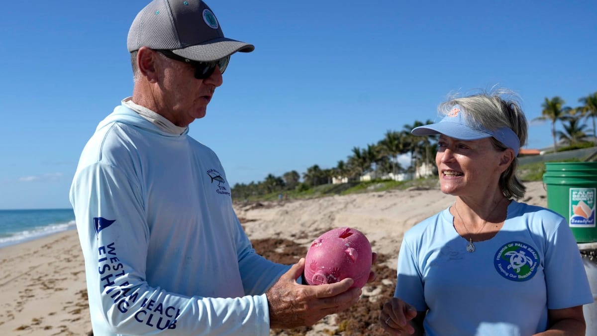 Volunteers collecting trash along Palm Beach shoreline with pelicans flying overhead during cleanup event