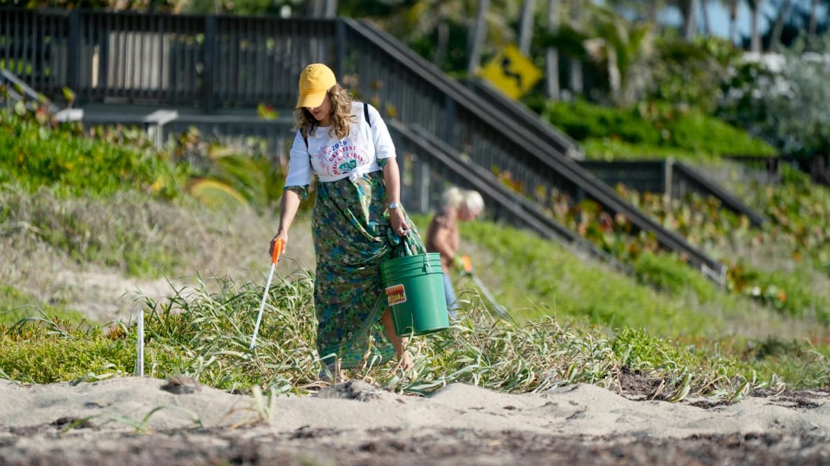 Diverse group of volunteers collecting trash and debris along Palm Beach coastline during community cleanup event