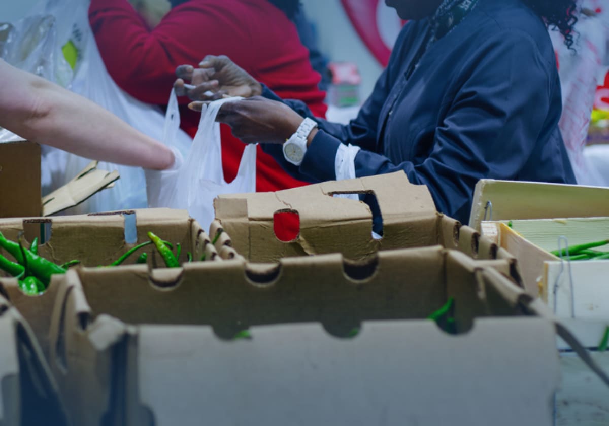 Philadelphia VISTA Corps: 16 Years, 370 Volunteers, $25M Impact - Image 4