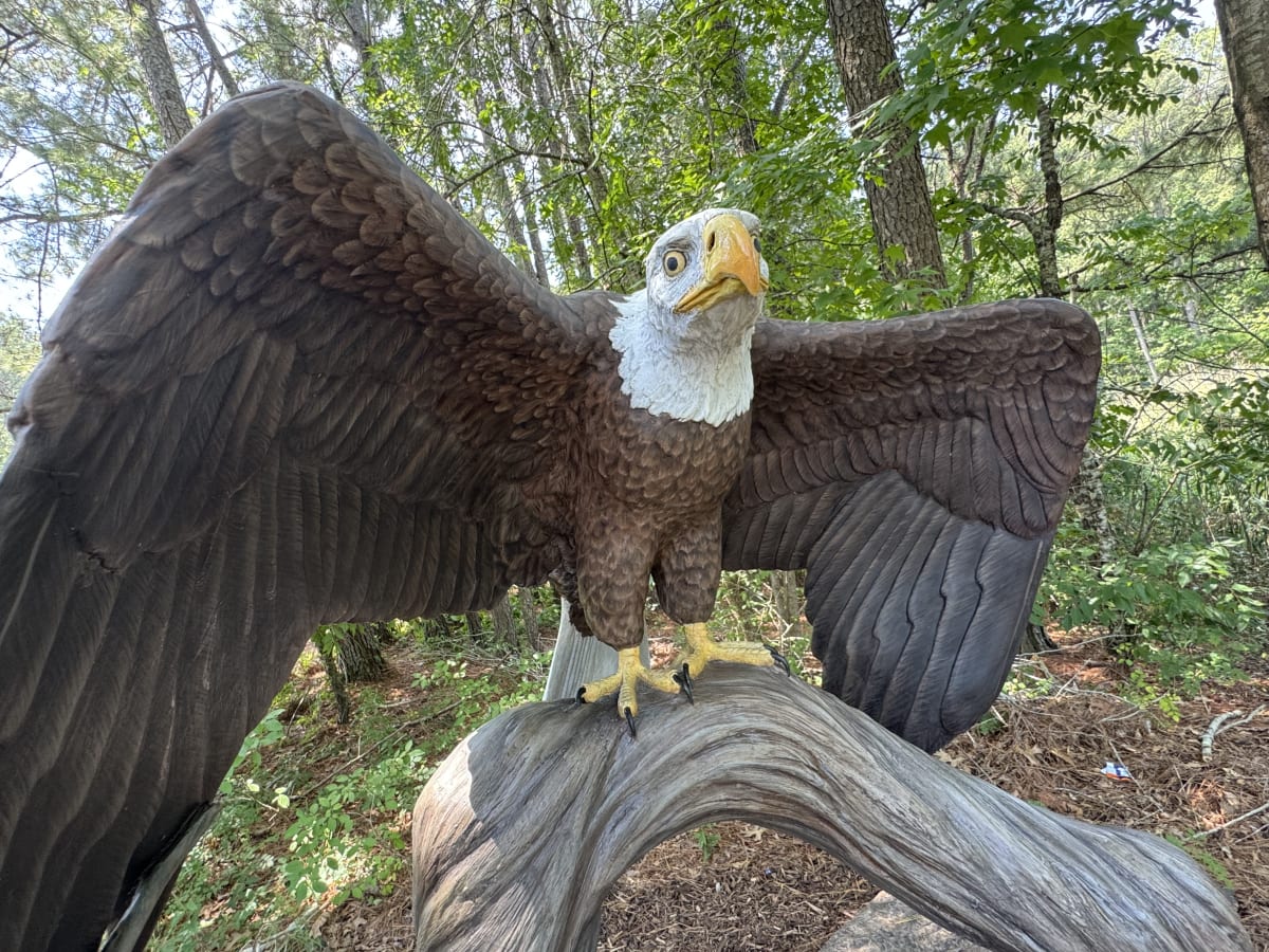 Virginia Aquarium Brings 12 Endangered Species Back to Life - Image 3