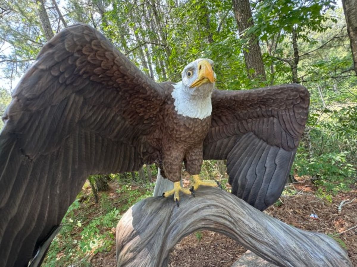 Virginia Aquarium Brings 12 Endangered Species Back to Life - Image 2