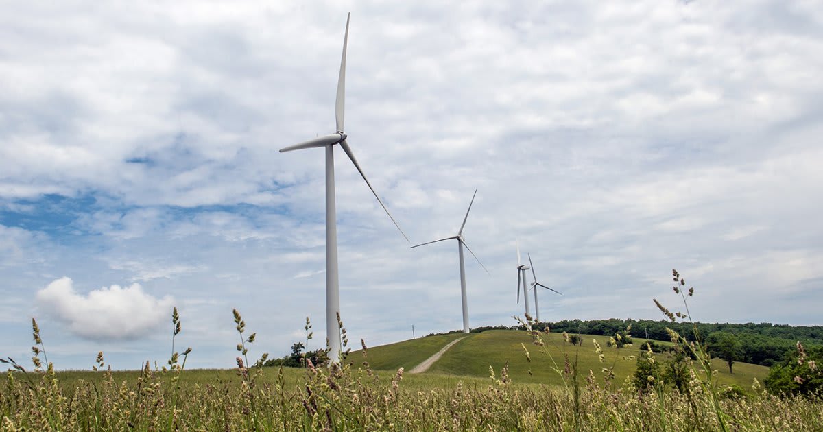 Wind Turbines Don't Harm Health, Major Study Confirms