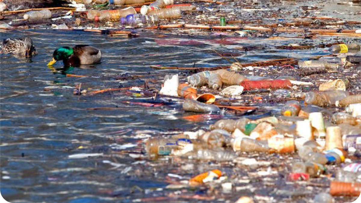 Big Brands Push Paper to Replace Plastic Packaging - Image 2