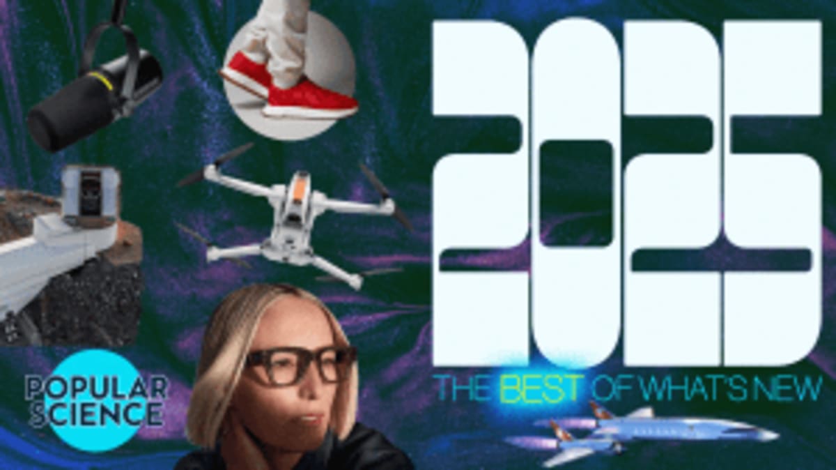 New Injection Helps Pugs and Bulldogs Breathe Without Surgery - Image 4