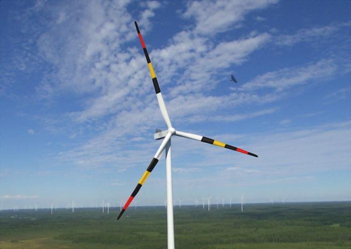 Snake Colors Make Wind Turbines Safer for Birds - Image 3