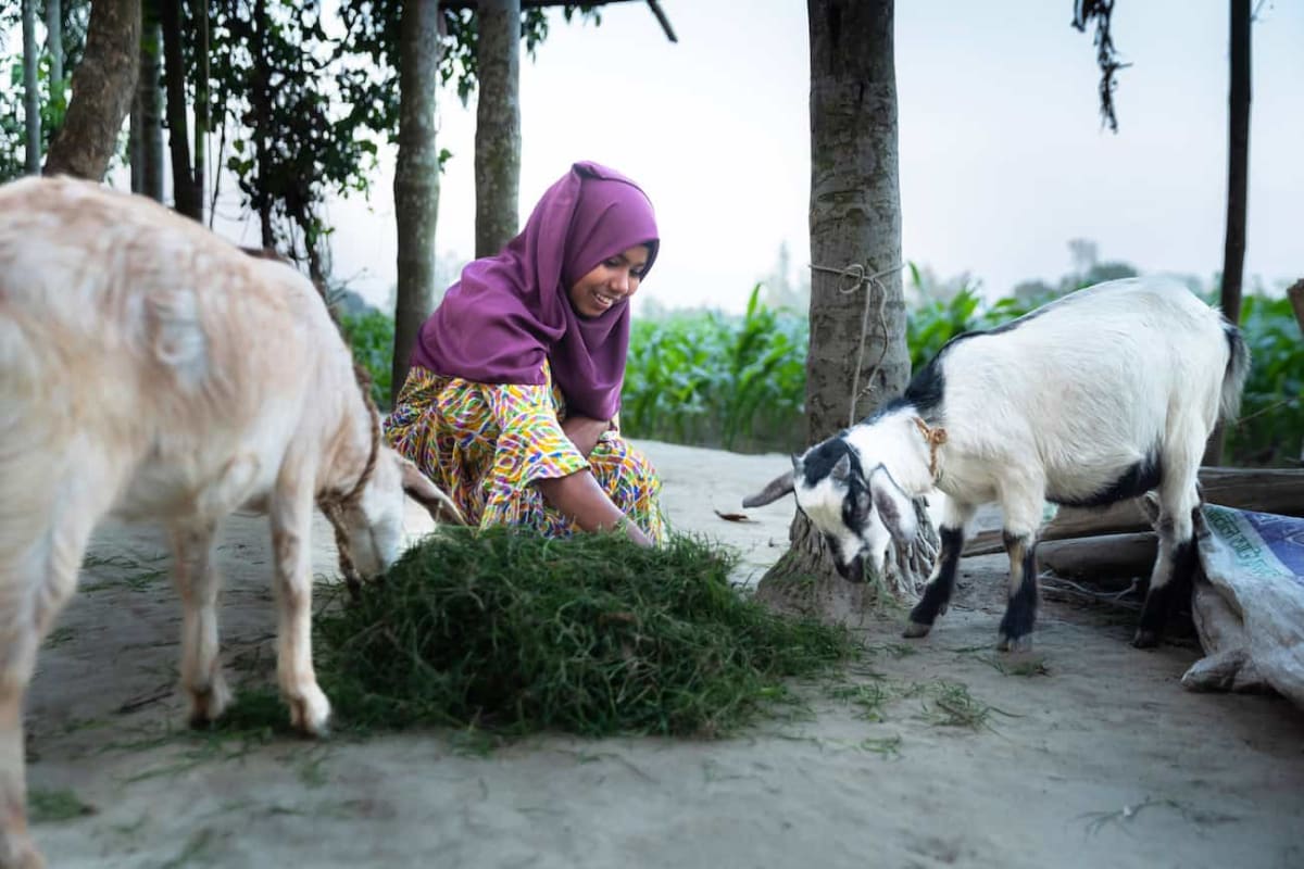 Young Bangladeshi girls sitting together in youth club meeting discussing community challenges