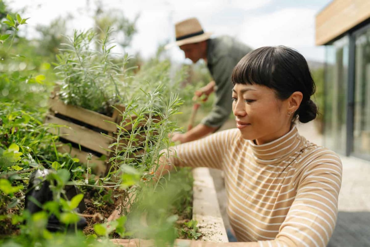 Hands planting a small seedling in rich soil, symbolizing hope and growth