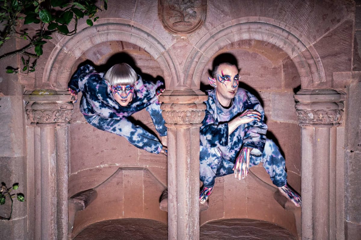 Scottish Musicians Turn Bat Calls Into Dance Music