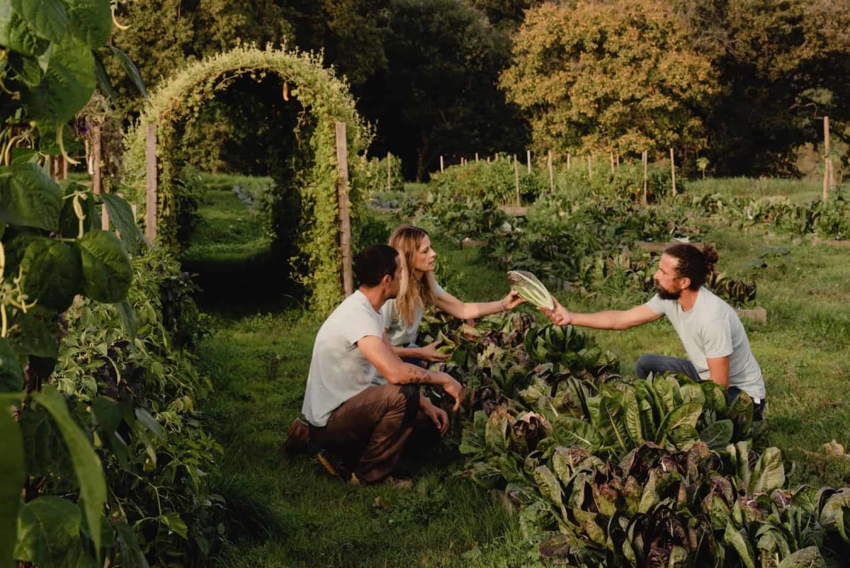 Italian Farm Grows 1,500 Crops Without Chemicals or Tilling