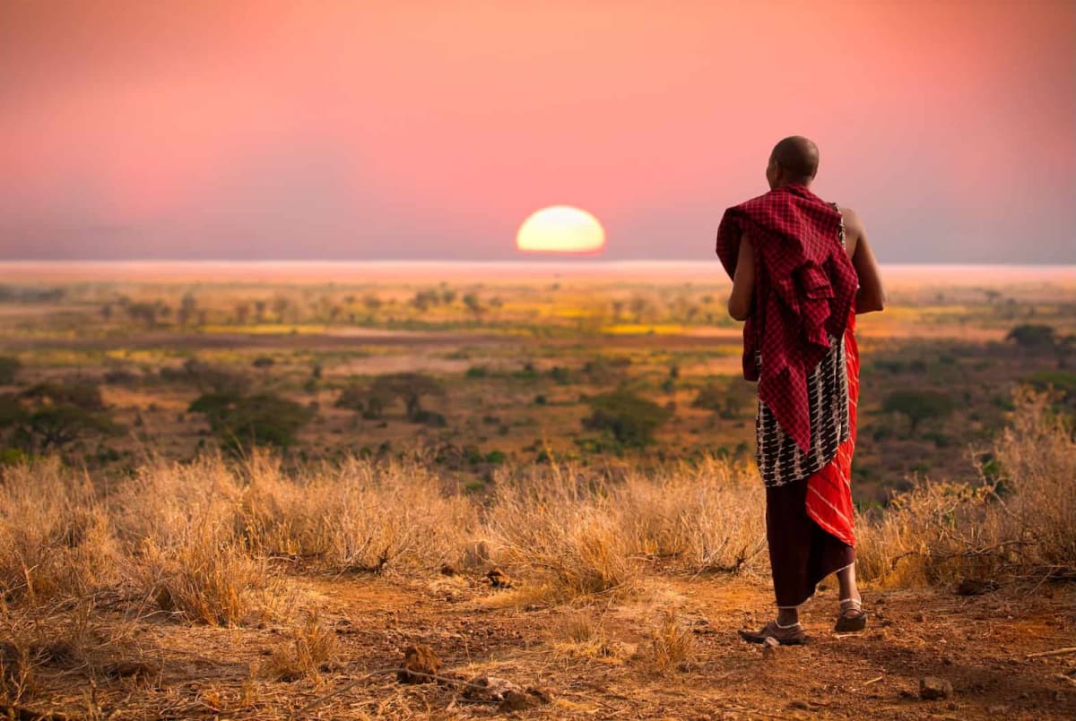 51 Solutions Could Trigger Environmental Tipping Points