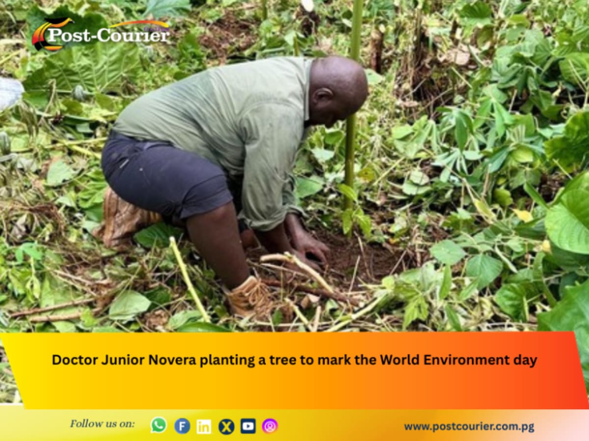 Bougainville Pilot Nursery Grows Into 15-Year Conservation Win - Image 2