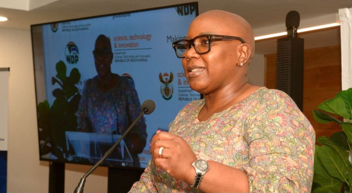 South Africa and Japan Partner on Clean Energy Future