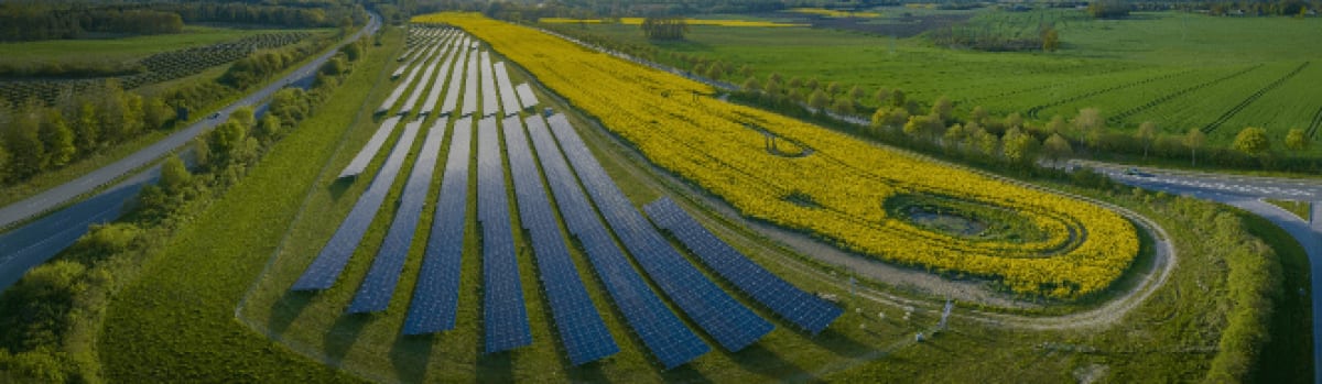 Rows of blue solar panels stretching across Oklahoma farmland under clear sunny skies