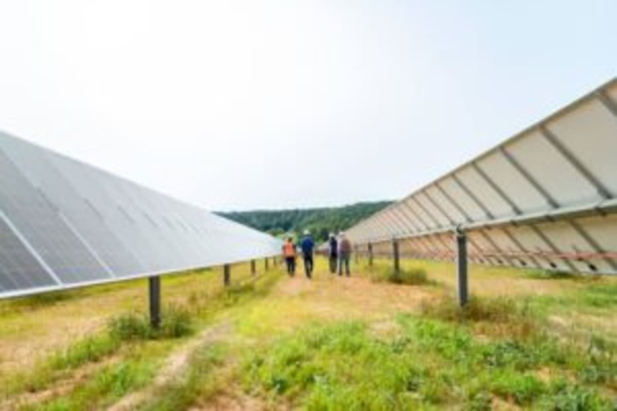 Meta and Apex Team Up for 144MW Texas Solar Farm - Image 2