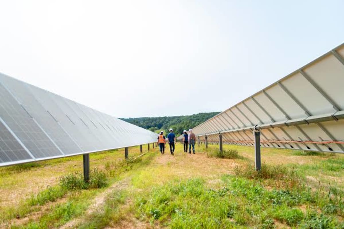 Solar panels stretching across Texas landscape under bright blue sky in Gonzales County
