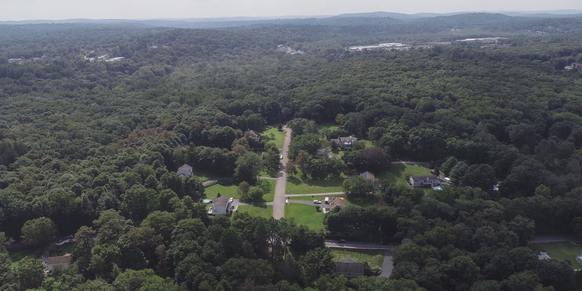 New York Invests $50M in Clean Energy Job Training - Image 2