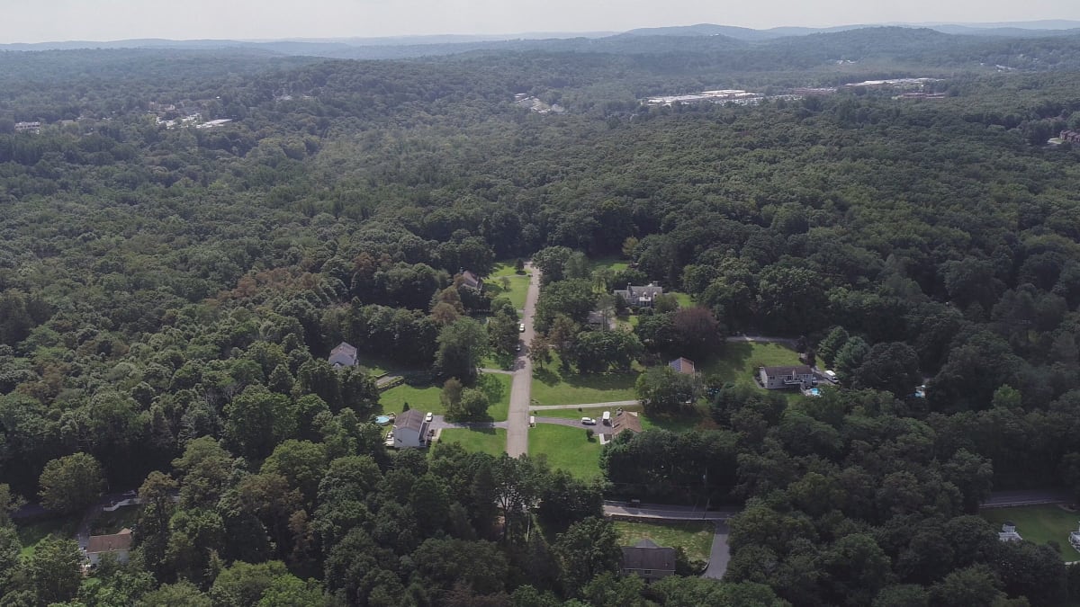 New York Invests $50M in Clean Energy Job Training