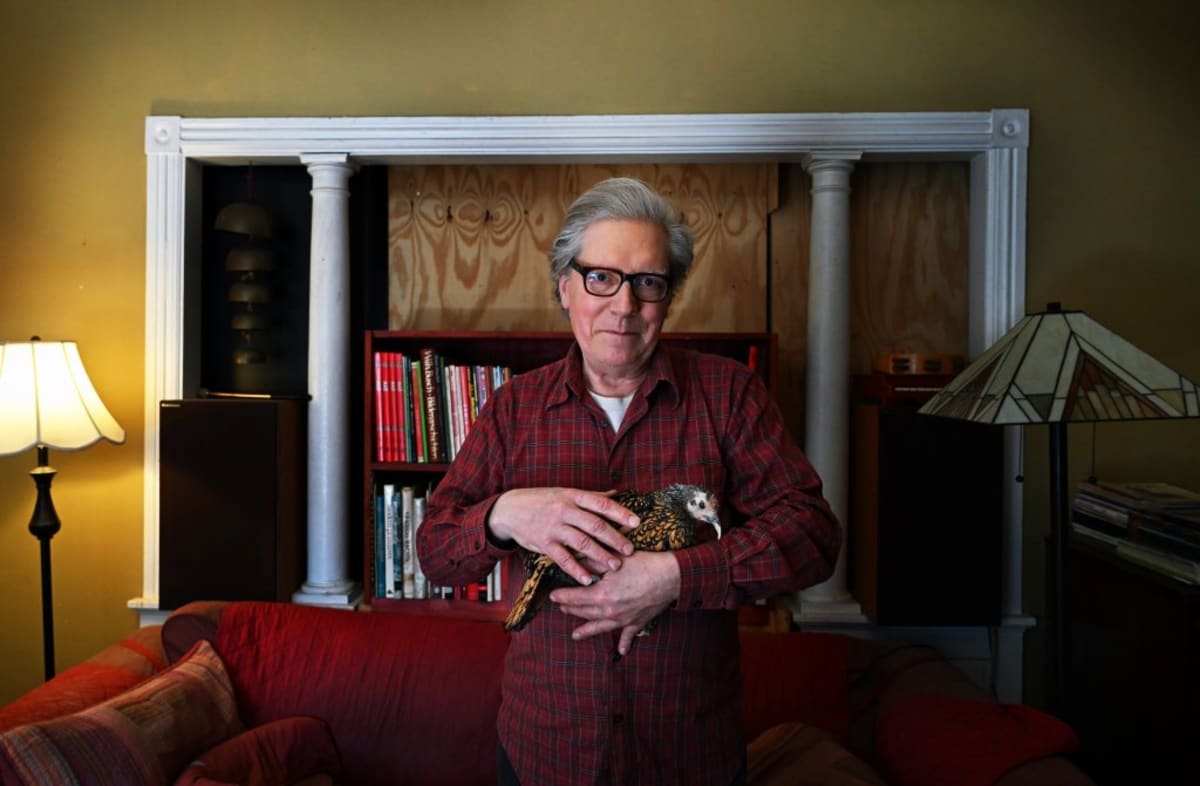 Portland's Gertie Becomes World's Oldest Chicken at 16 - Image 4