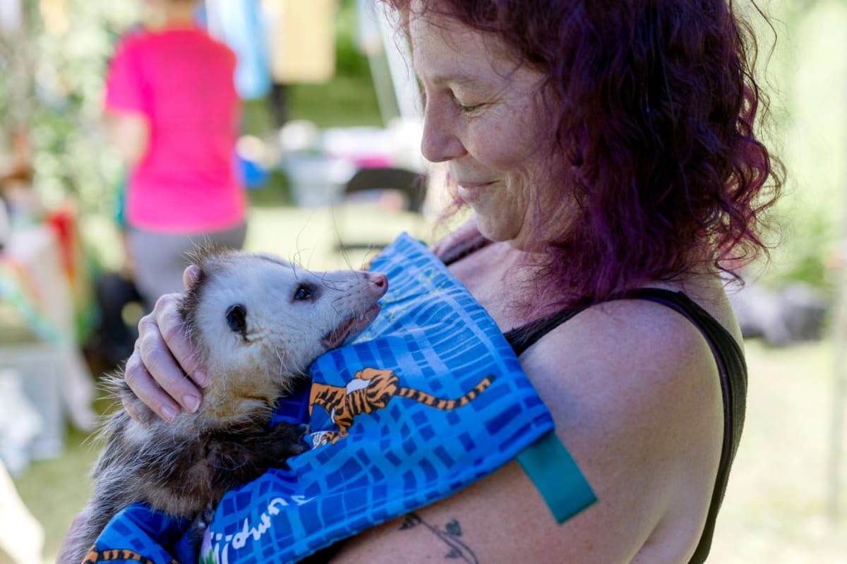 Maine Animal Rescues Unite to Save Senior Pets - Image 4