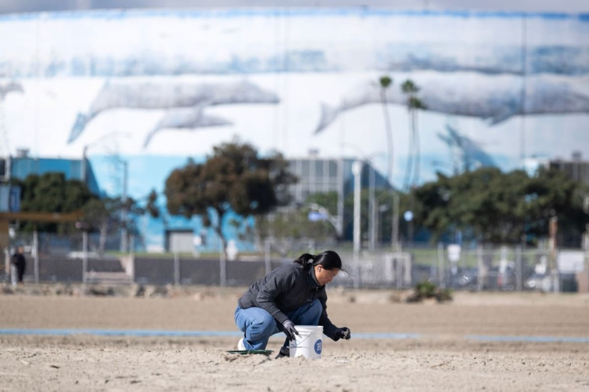 Trash boom system collecting debris at mouth of Los Angeles River near Long Beach waterfront