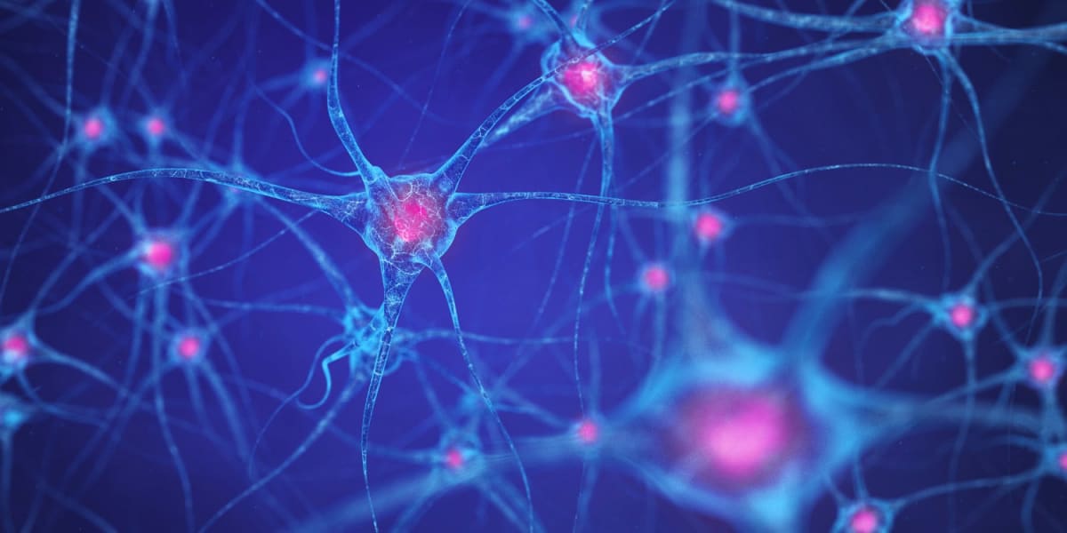 Exercise Protein Apelin Fights Depression, Study Finds
