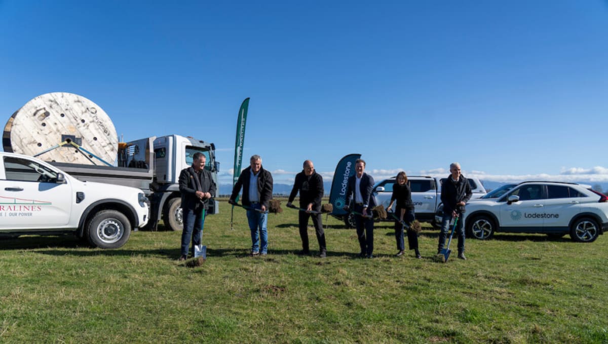 New Zealand Solar Farm Will Power 8,000 Homes, Keep Sheep Too - Image 2