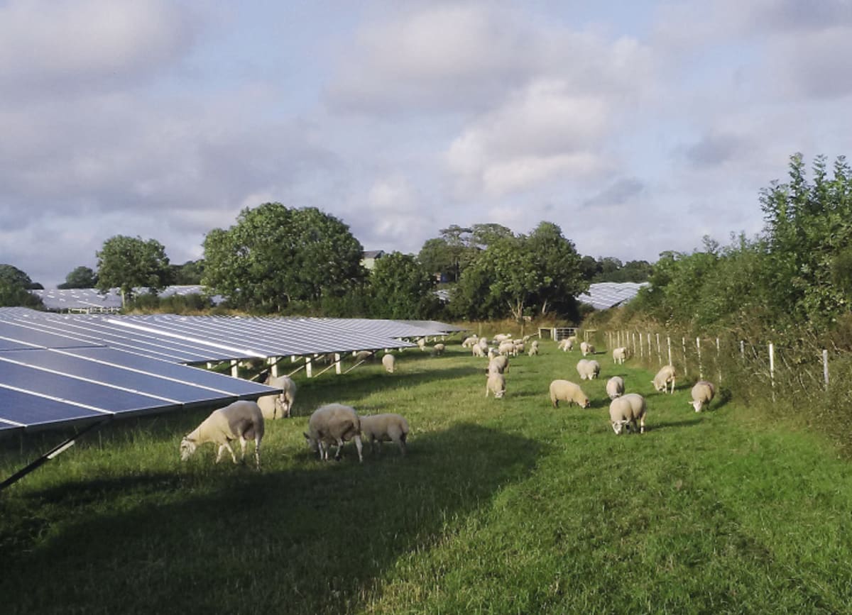 Aerial view of large-scale solar panel farm installation stretching across green British countryside