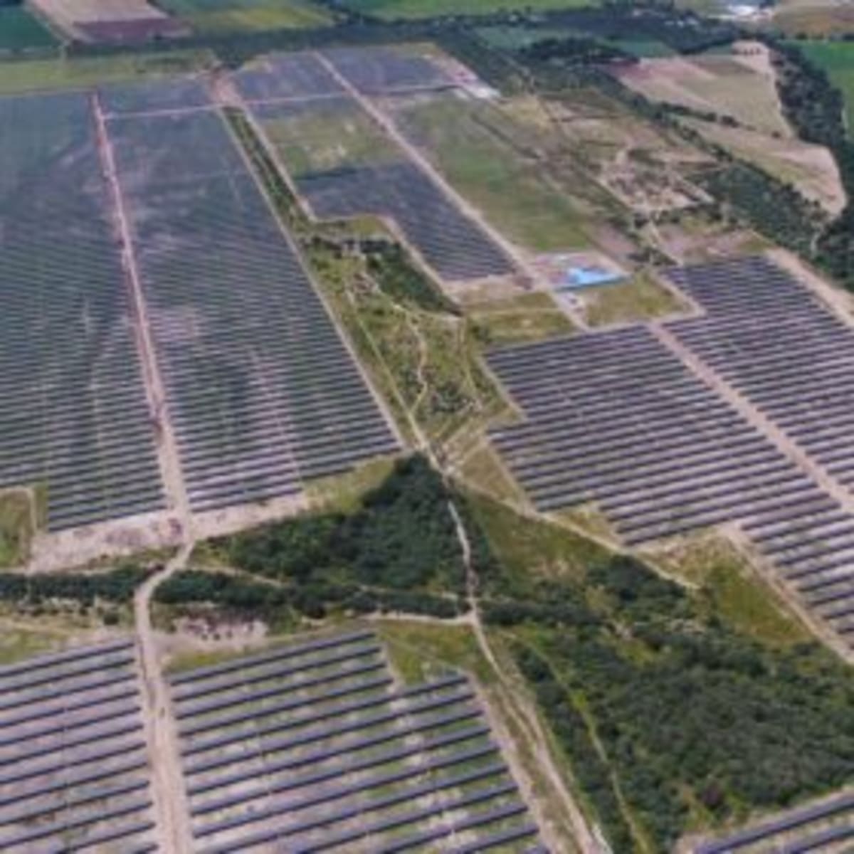 Mexico Fast-Tracks Clean Energy Projects in Major Shift - Image 2