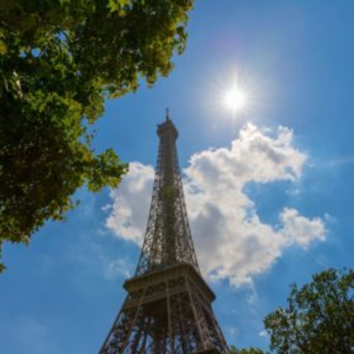 France Adds Cyber Defense Rules to Solar Energy Auctions - Image 2