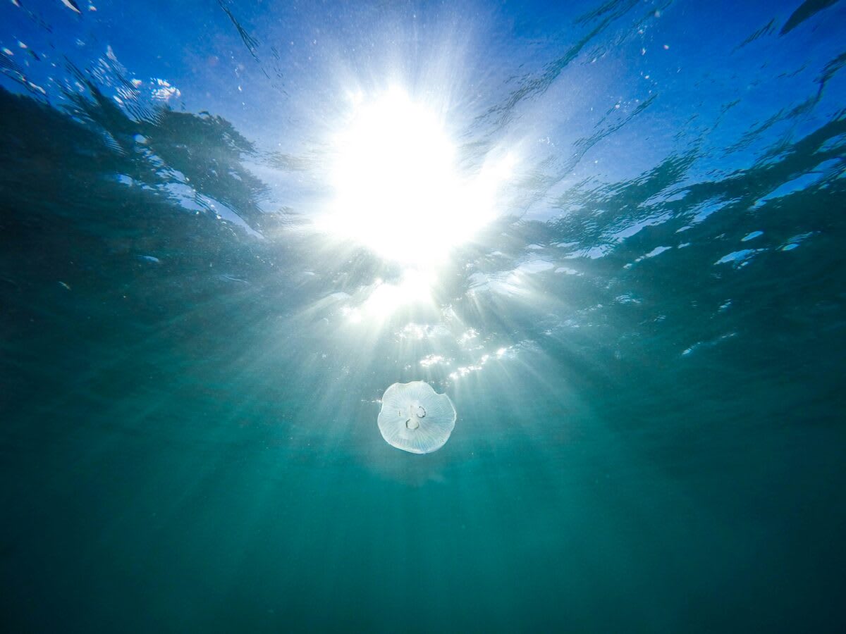 Solar Panels Work 10 Meters Underwater in Breakthrough Test